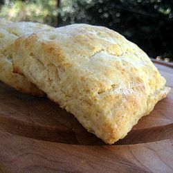 buttermilkbiscuit